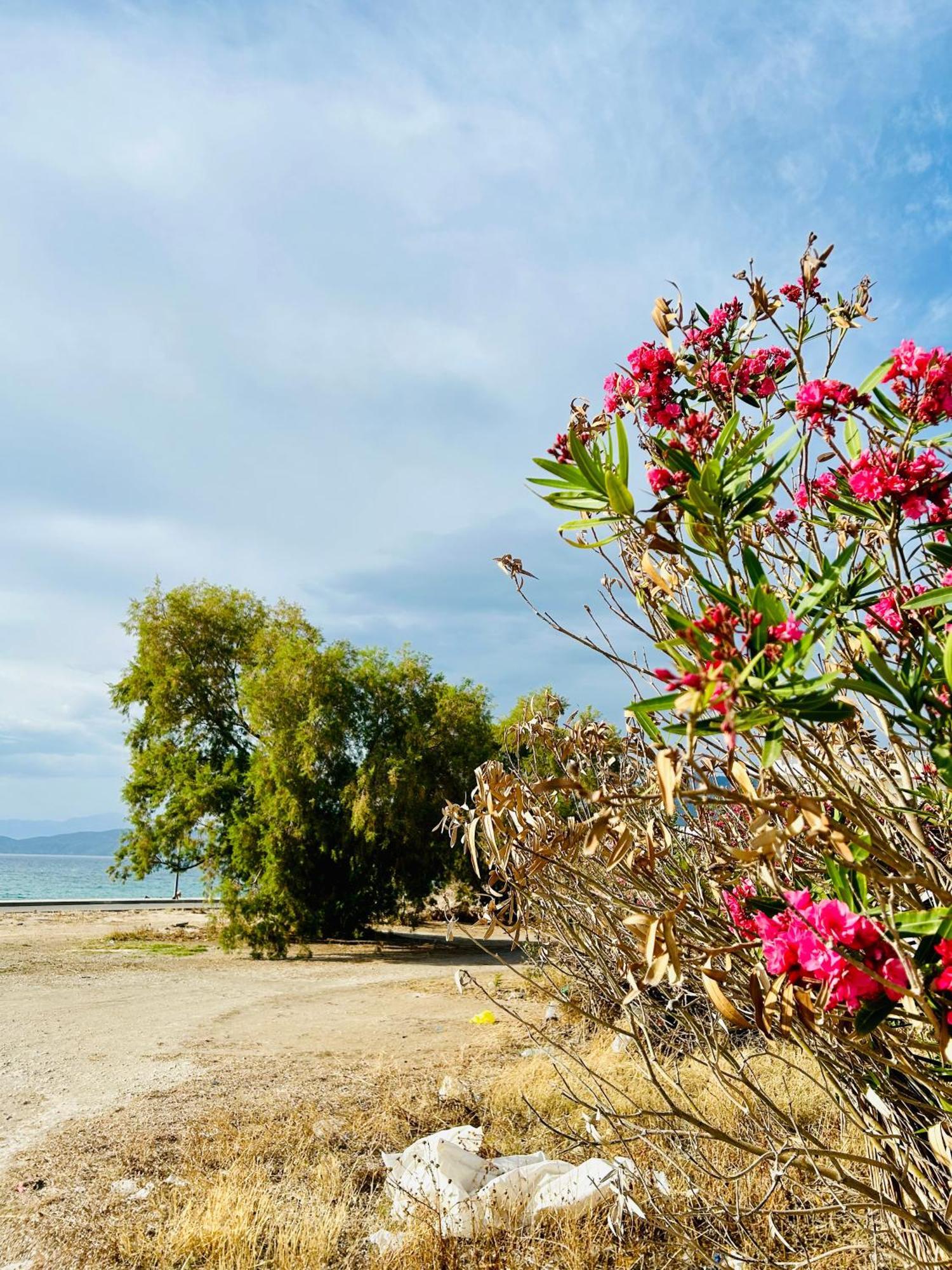 Marina'S Seacret Apartment Corinth 外观 照片